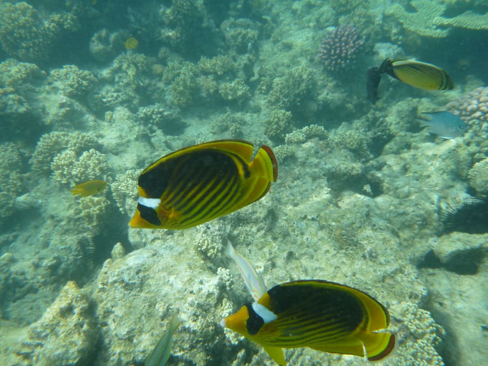 Sport & Freizeit Hotel Titanic Palace