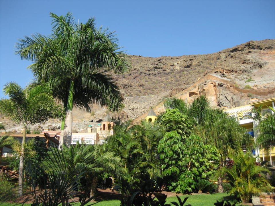 Gartenanlage 1 Hotel Cordial Mogán Playa
