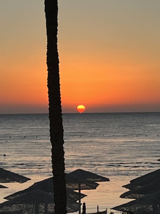 Außenansicht Makadi Spa - Adults only