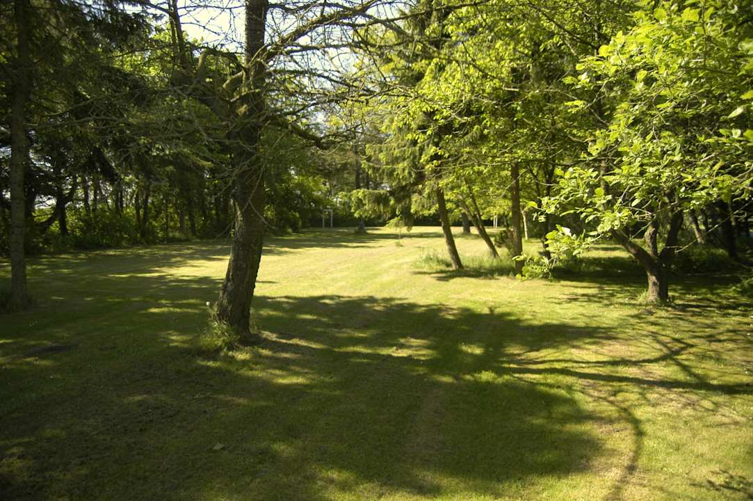 Garten Henne Strand Ferie