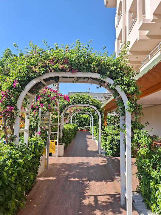 Gartenanlage Calimera Hane Garden