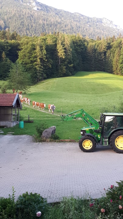 Ausblick Rauchenbichlhof