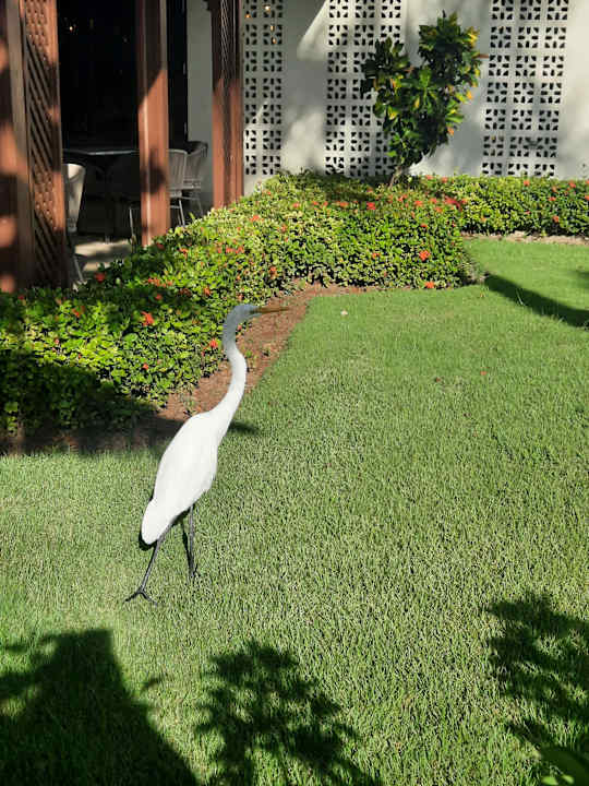 Außenansicht Hotel Grand Palladium Palace Resort, Spa & Casino