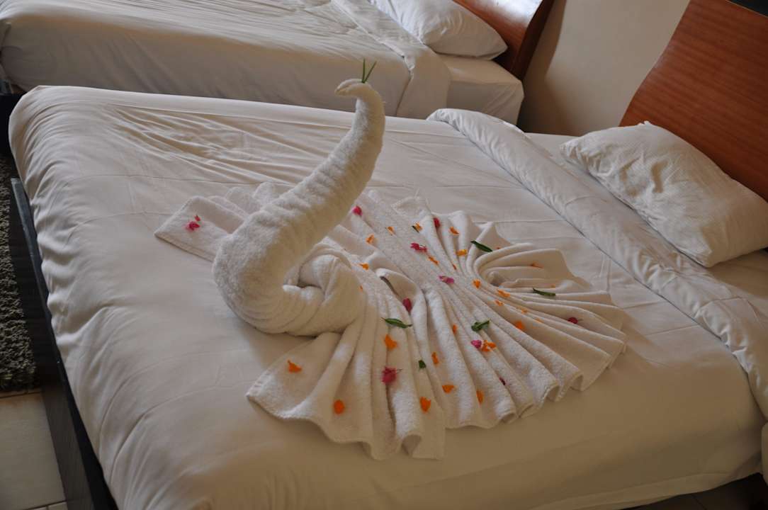 Ręcznikowy łabędź Regency Plaza Aqua Park & Spa