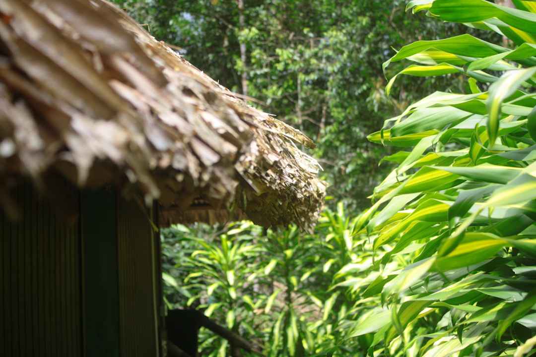 Unser Bungalow Amazon Village Lodge