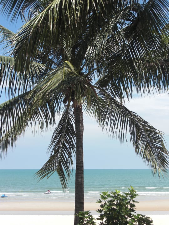 Blick vom Pool  Veranda Resort & Villas Hua Hin Cha Am