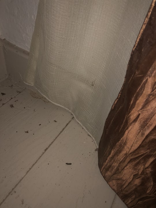 Zimmer Kihaa Maldives