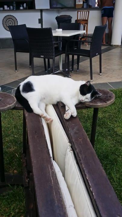 Sonstiges Hotel Calypso Beach