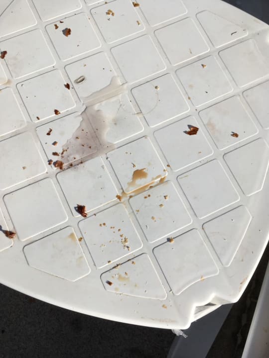 Pool Starlight Resort Hotel