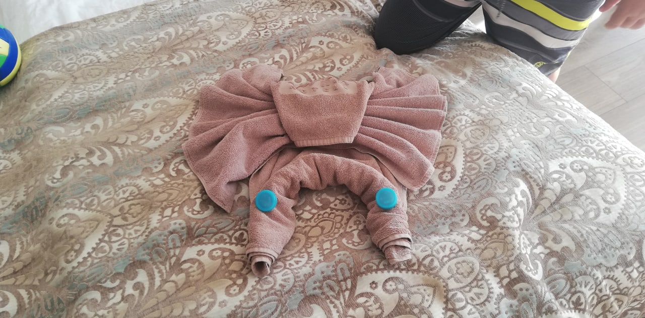 Zimmer GRIFID Aqua Club Bolero