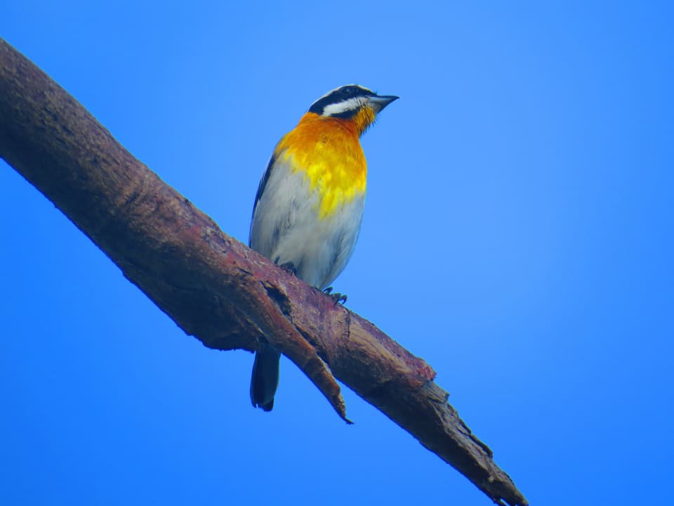 Gartenanlage Sol Rio De Luna y Mares