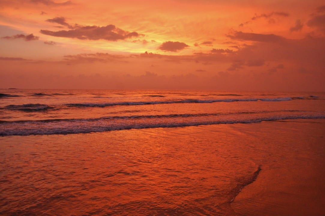 Wie schön!!! Thaala Bentota