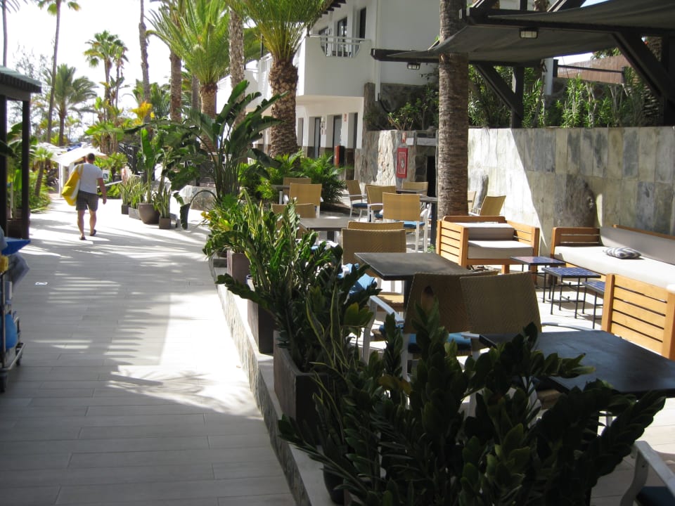 Gastro Corallium Beach by Lopesan Hotels - Adults only