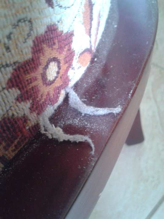 Mein zusammengeschobener Staub am Stuhlrand Hotel Laemya Inn