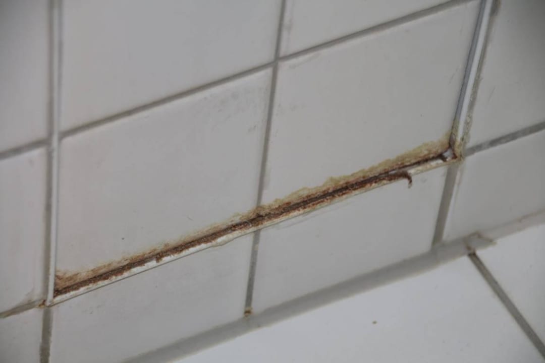 #515 - leider mehr als schmuddelig. Park Plaza Berlin