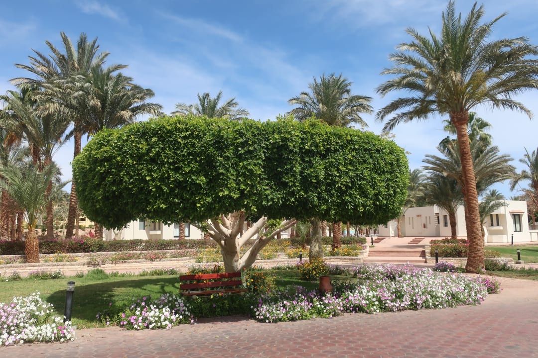 Gartenanlage Pharaoh Azur Resort