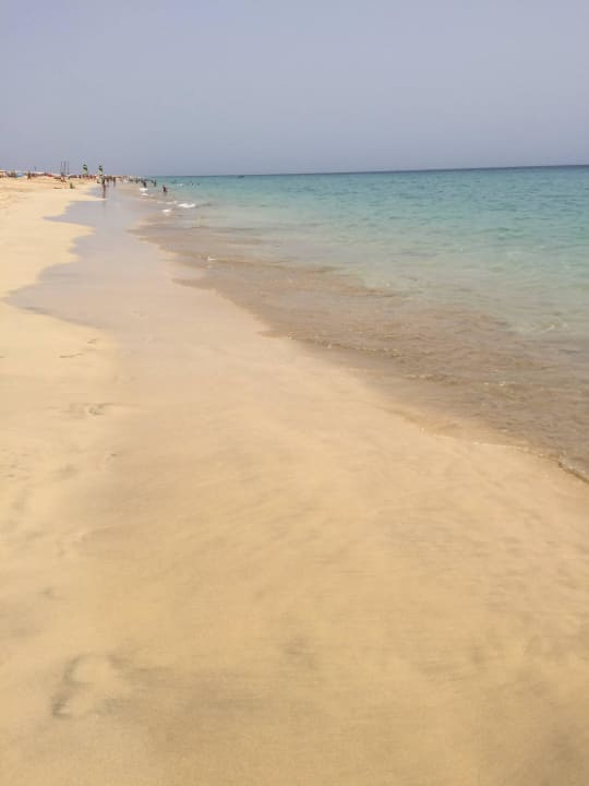 Strand beim Hotel  Hotel Riu Palace Jandia
