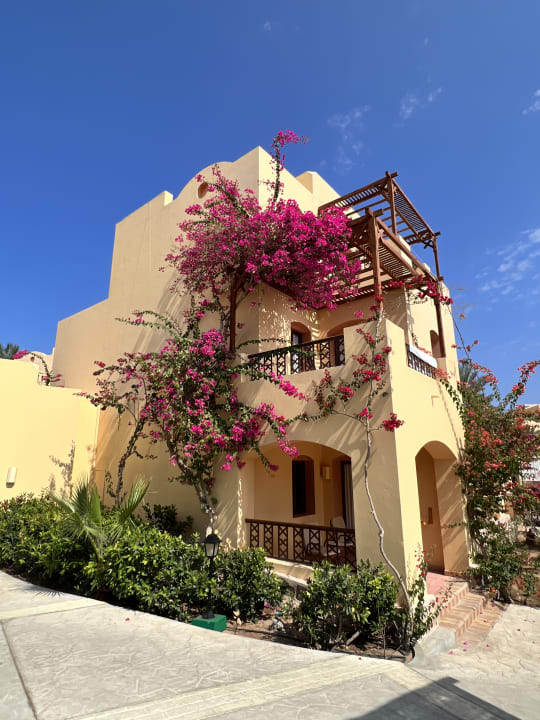 Außenansicht Steigenberger Coraya Beach - Adults only