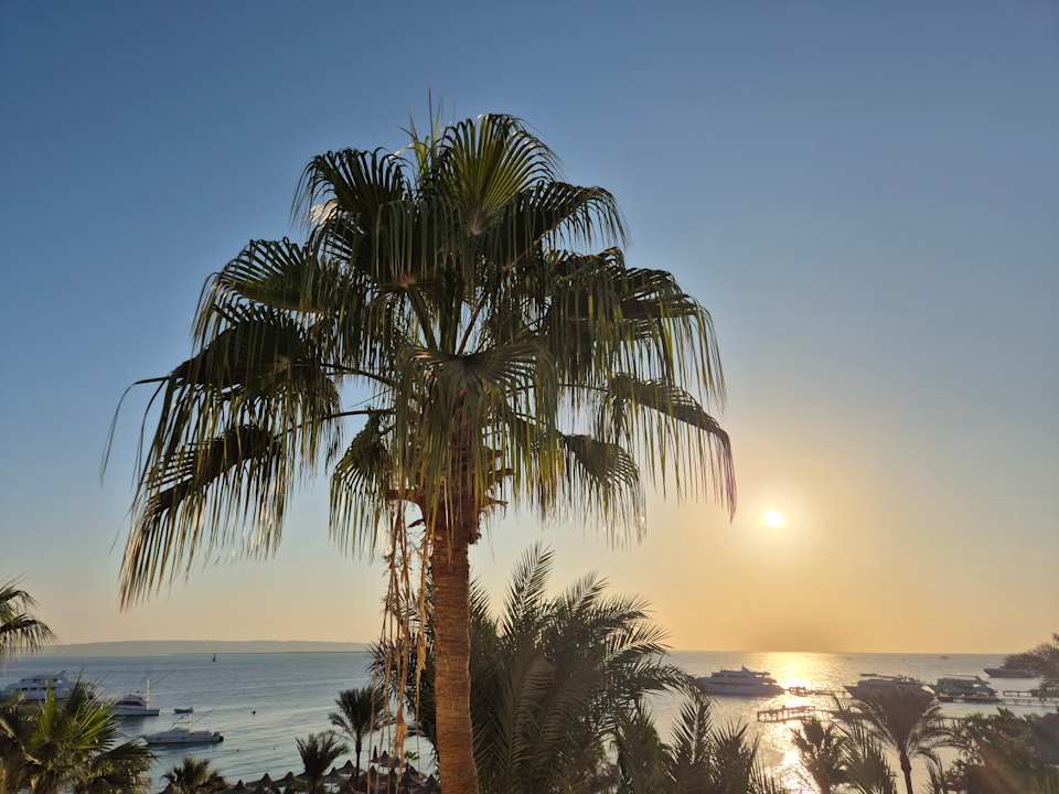 Zimmer Bella Vista Resort Hurghada