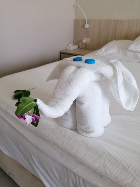 Zimmer Amarina Abu Soma Resort & Aquapark