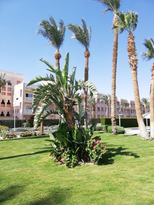 Gartenanlage Beach Albatros Resort