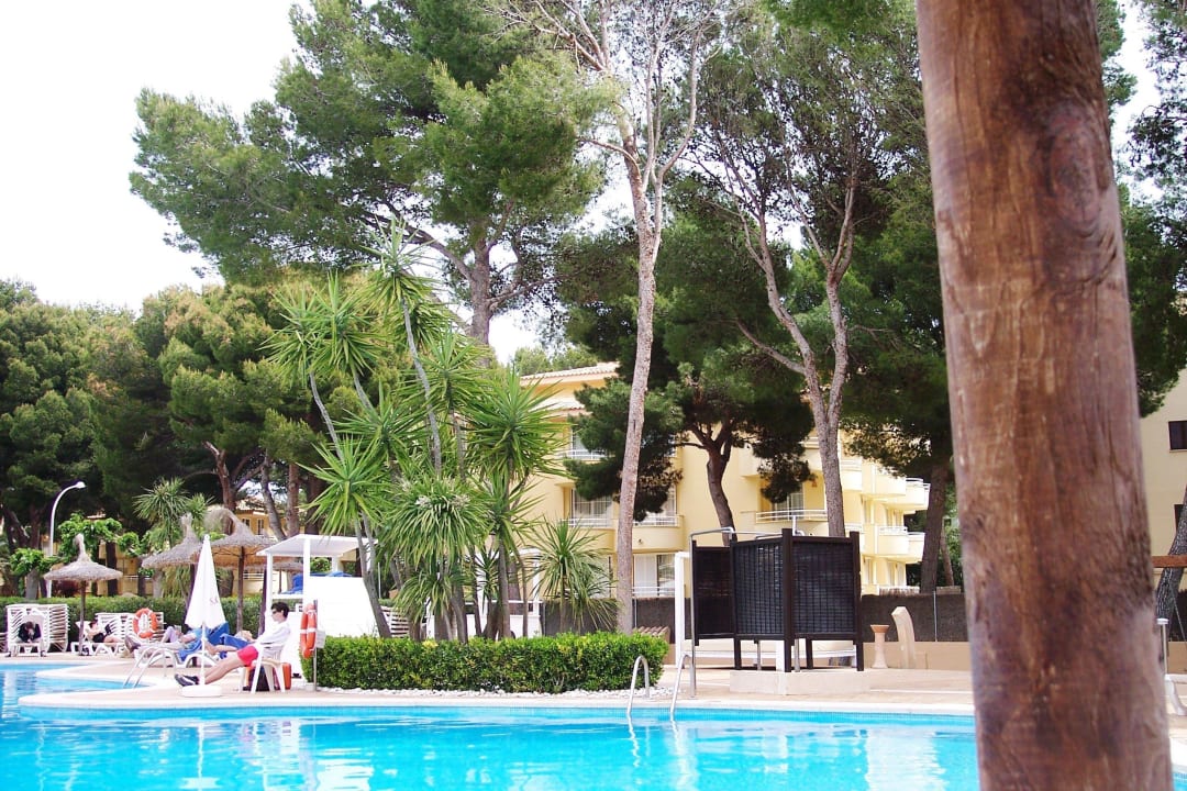 Herr der Handtücher Prinsotel La Pineda