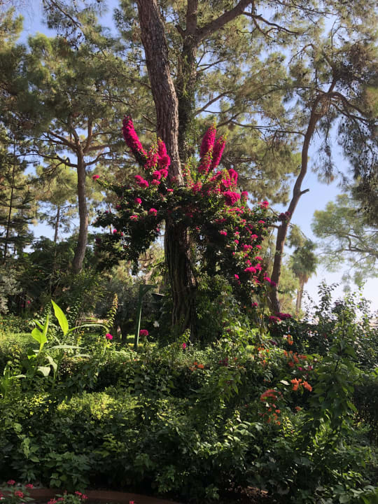 Gastro Ulusoy Kemer Holiday Club