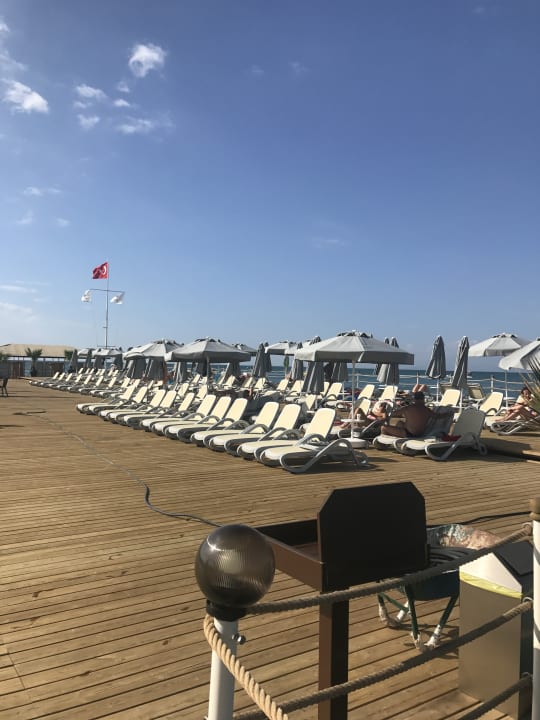 Strand Royal Seginus