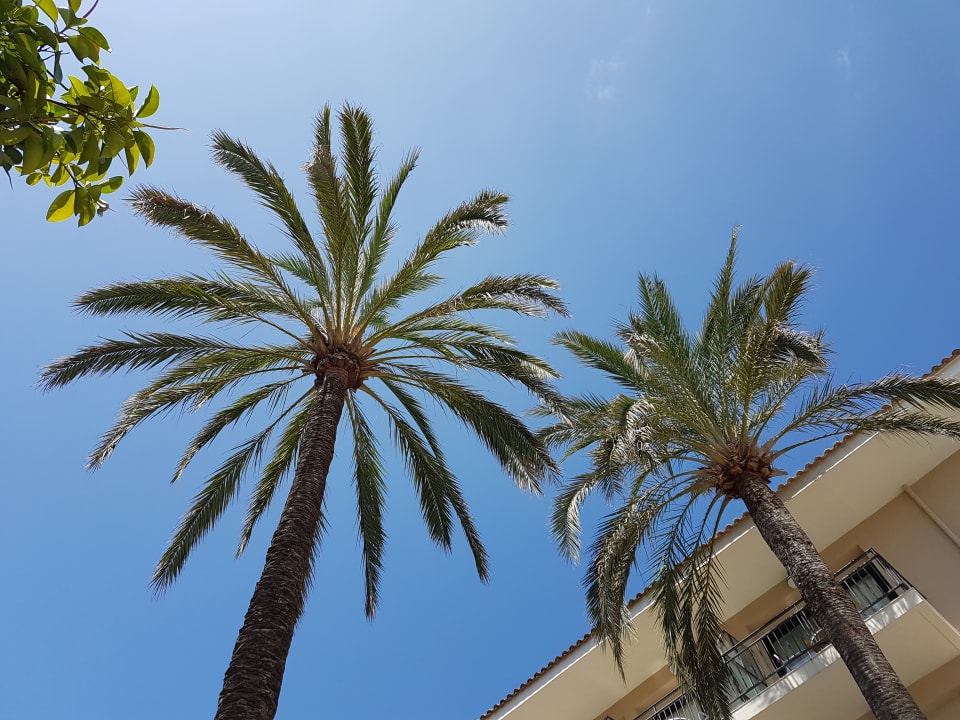 Sonstiges R2 Lago Playa Park