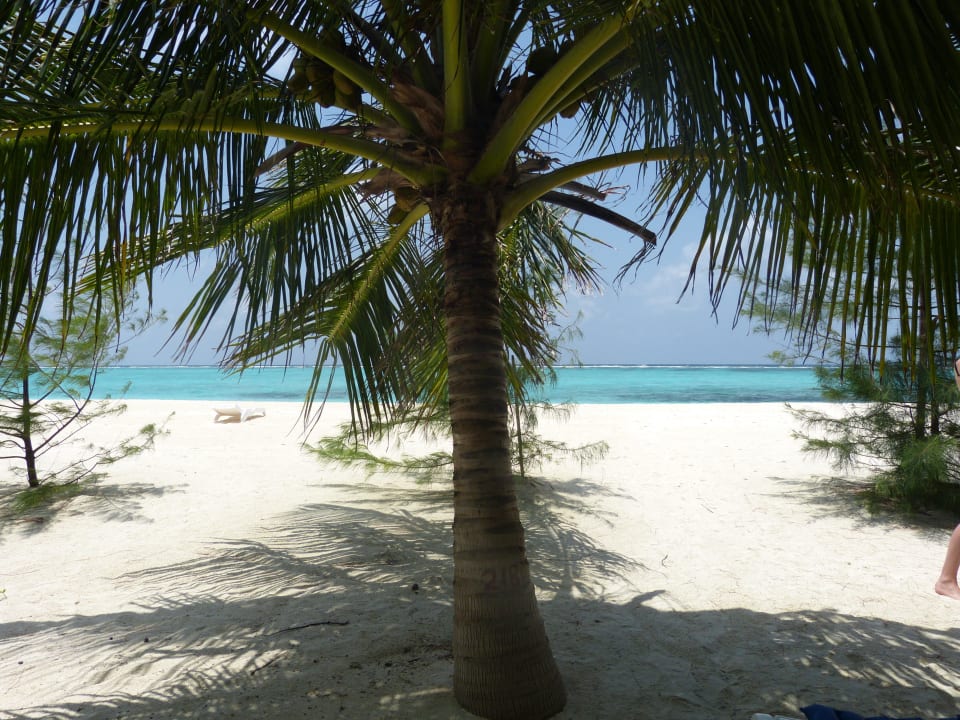 Standardbungalow 77 Summer Island Maldives