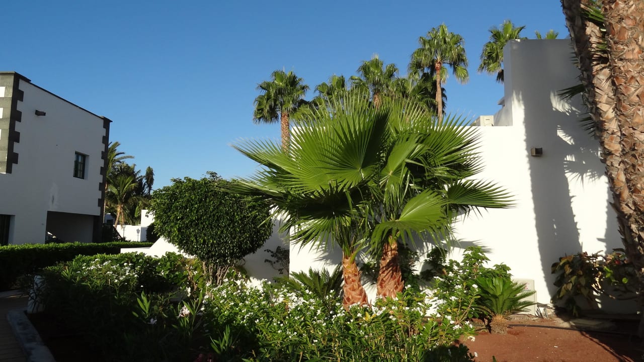 Clubhotel RIU Paraiso Hotel Riu Paraiso Lanzarote