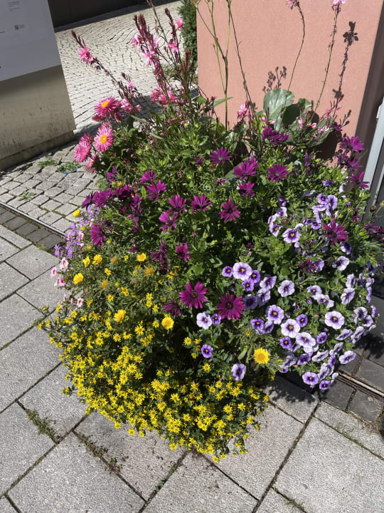 Gartenanlage Hotel Ochsen