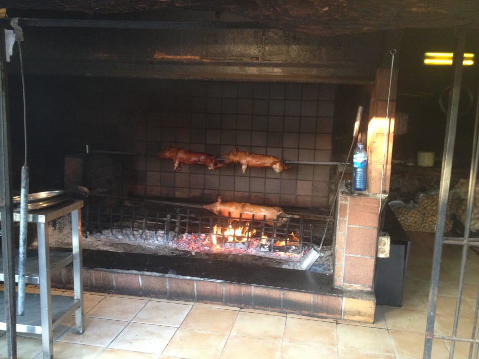 Das Spanferkel blau punta reina