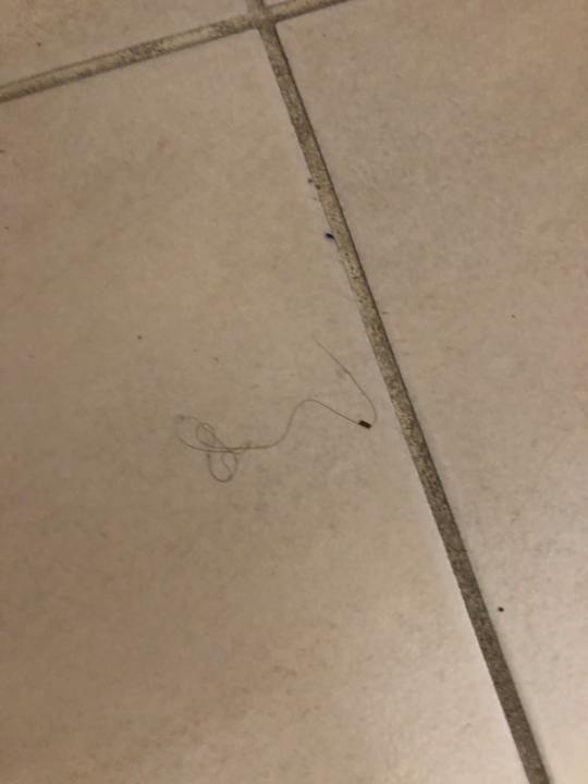 Zimmer Grand Blue Beach Hotel