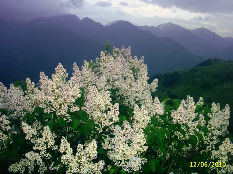 Vom Hotel aus Hotel Lukas