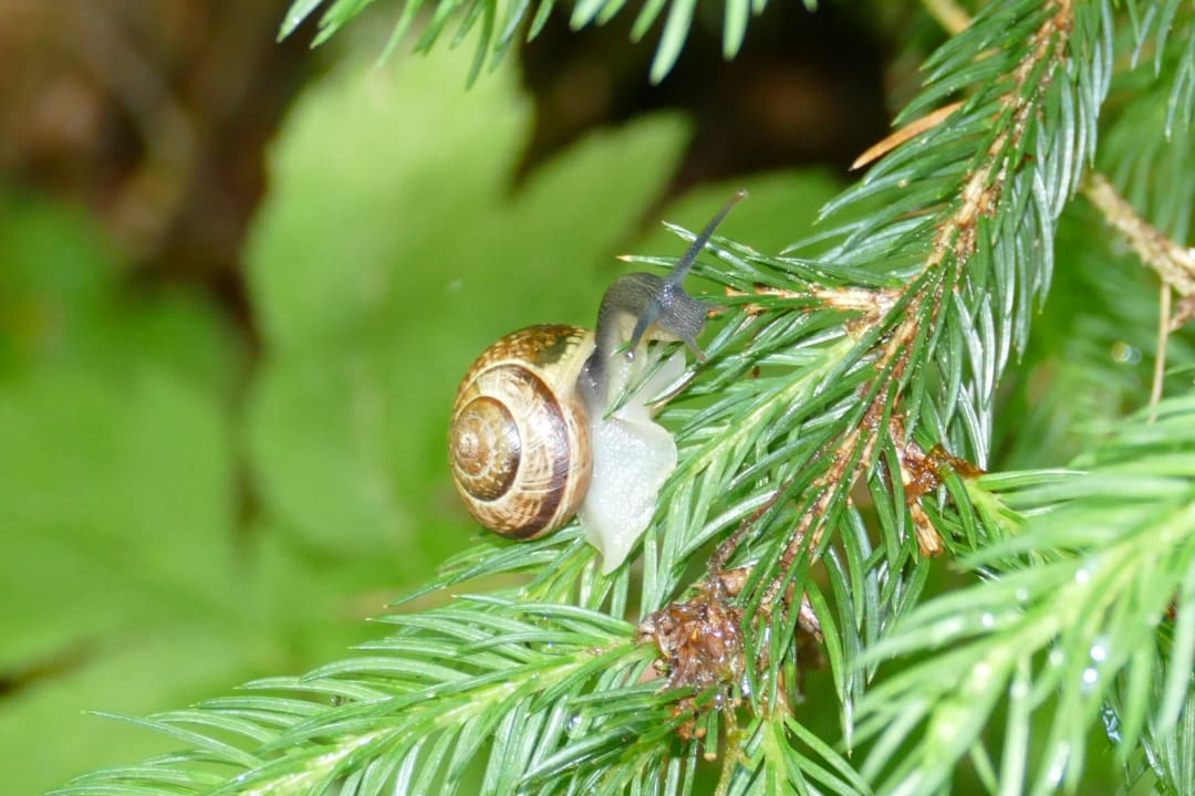 Gartenanlage Gut Wenghof - Family Resort