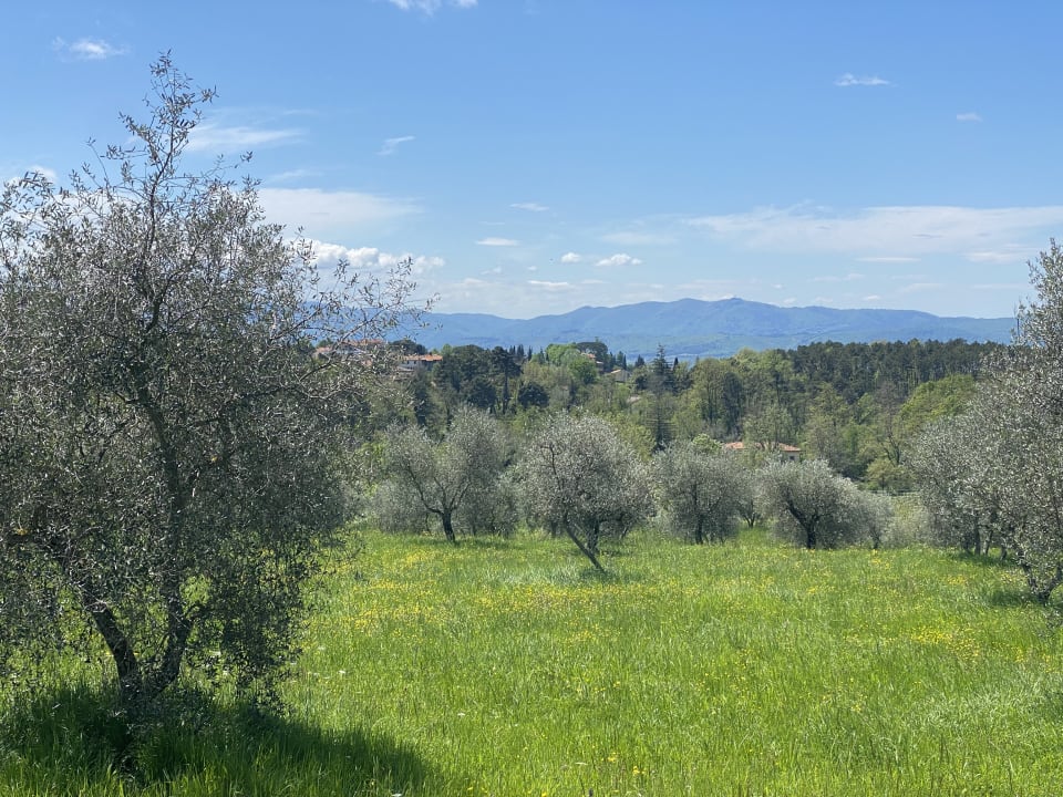 Gartenanlage Tenuta Risalpiano