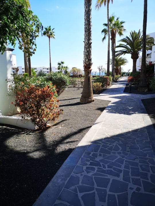 Gartenanlage allsun App.-Hotel Albatros