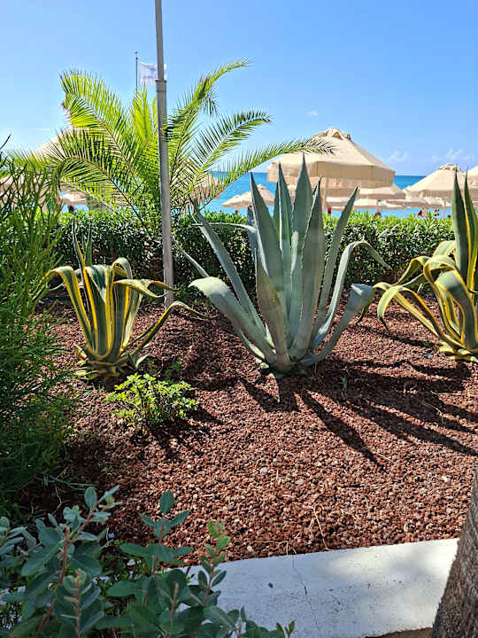 Gartenanlage Saphir Resort & Spa