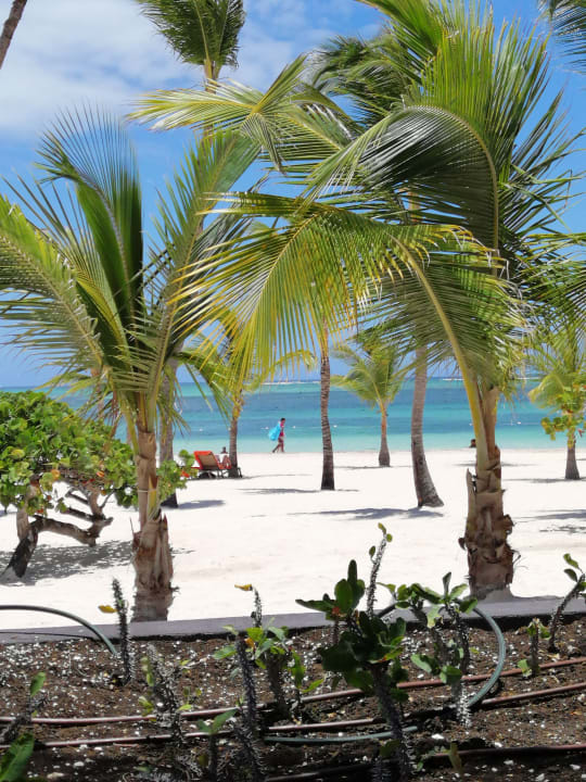 Strand Lopesan Costa Bávaro Resort, Spa & Casino