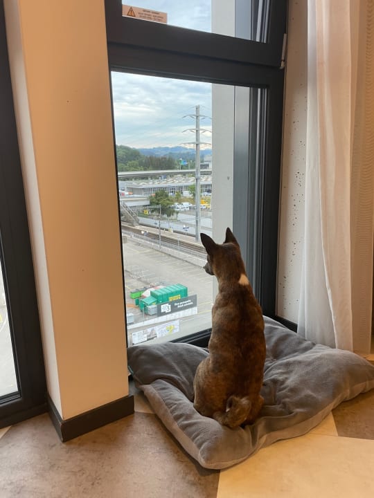 Zimmer Stay KooooK Bern Wankdorf - Online Check In