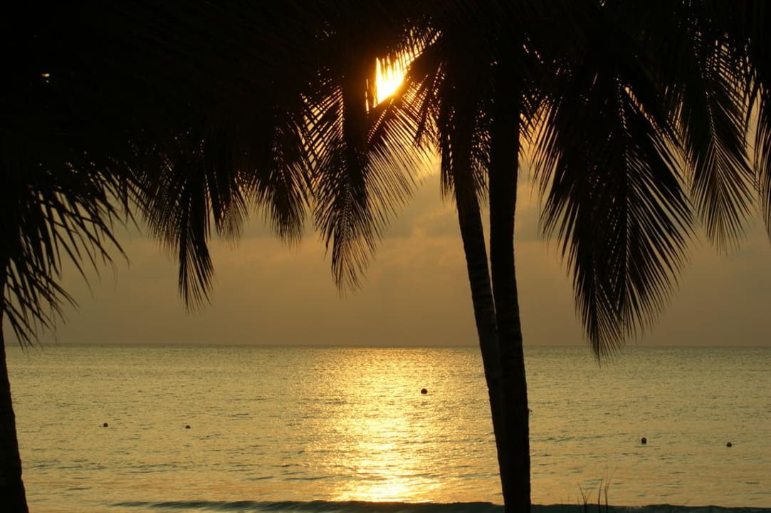 Dafür braucht man nicht zu Rick´s Cafe Hotel Riu Palace Tropical Bay