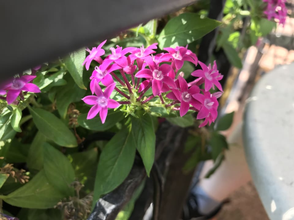 Gartenanlage Limak Limra Hotel & Resort