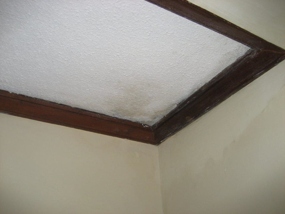 Schimmel an den Decken Puri Santrian