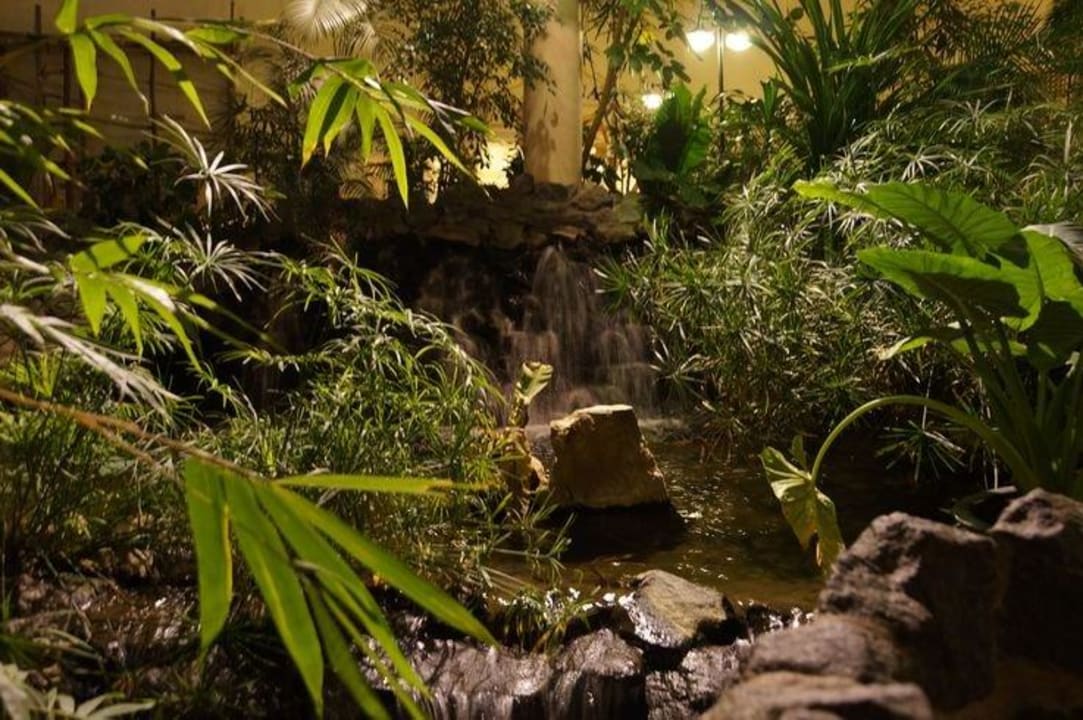 Market Dome Center Parcs Park Hochsauerland