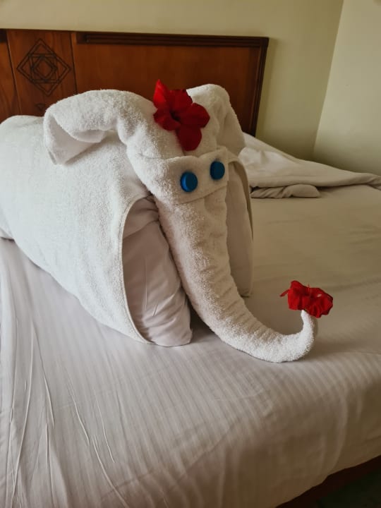 Zimmer Three Corners Equinox Beach Resort