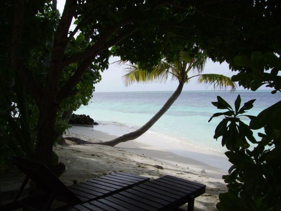 Schöne Sicht auf das Meer Vilamendhoo Island Resort & Spa
