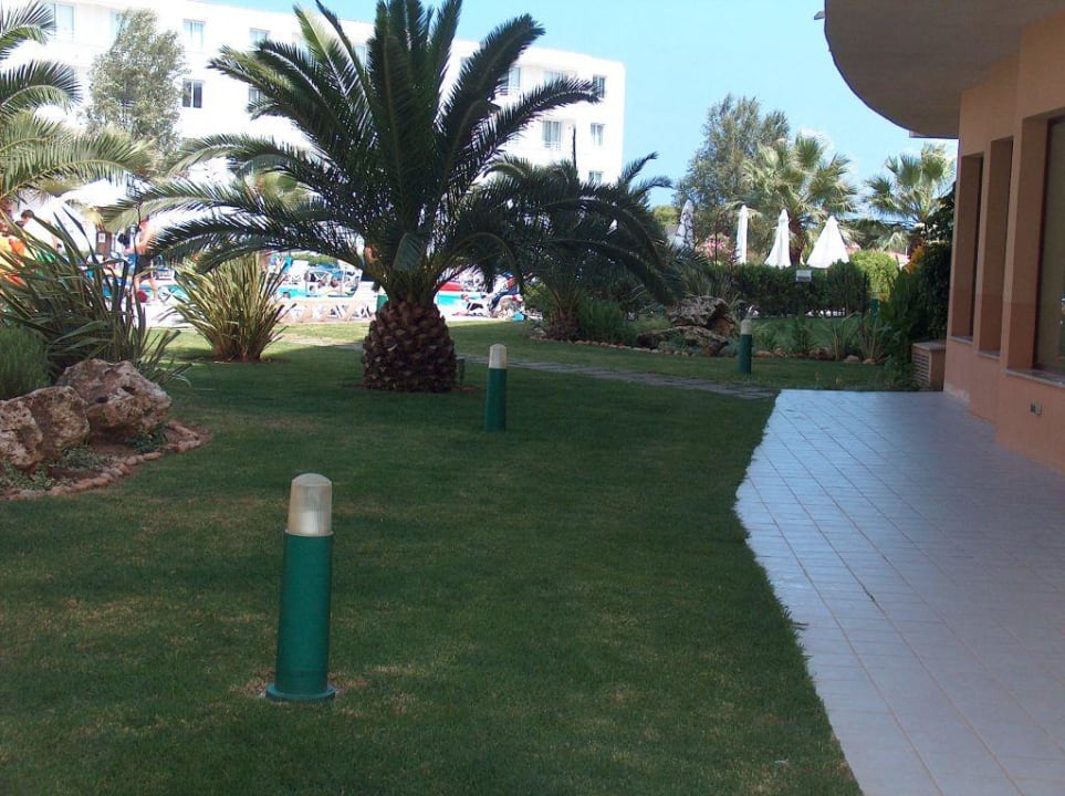 Garten vor dem Fitnessraum im Haus 1 allsun App.-Hotel Orient Beach