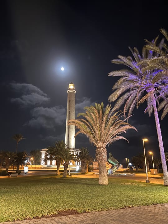 Gartenanlage Hotel Riu Palace Oasis