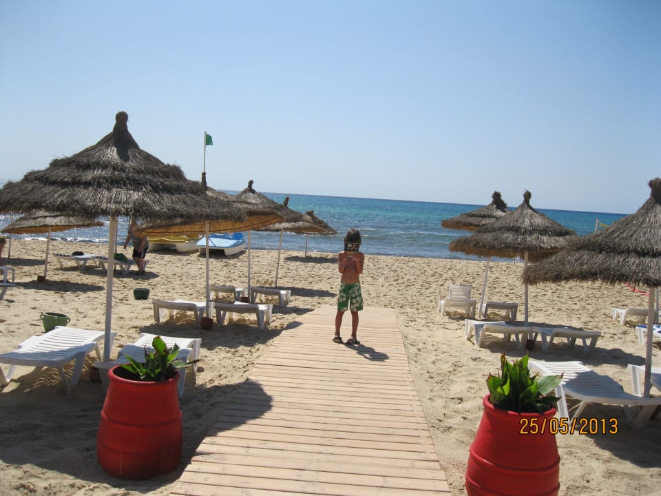 Beautiful Hotel Royal Nozha